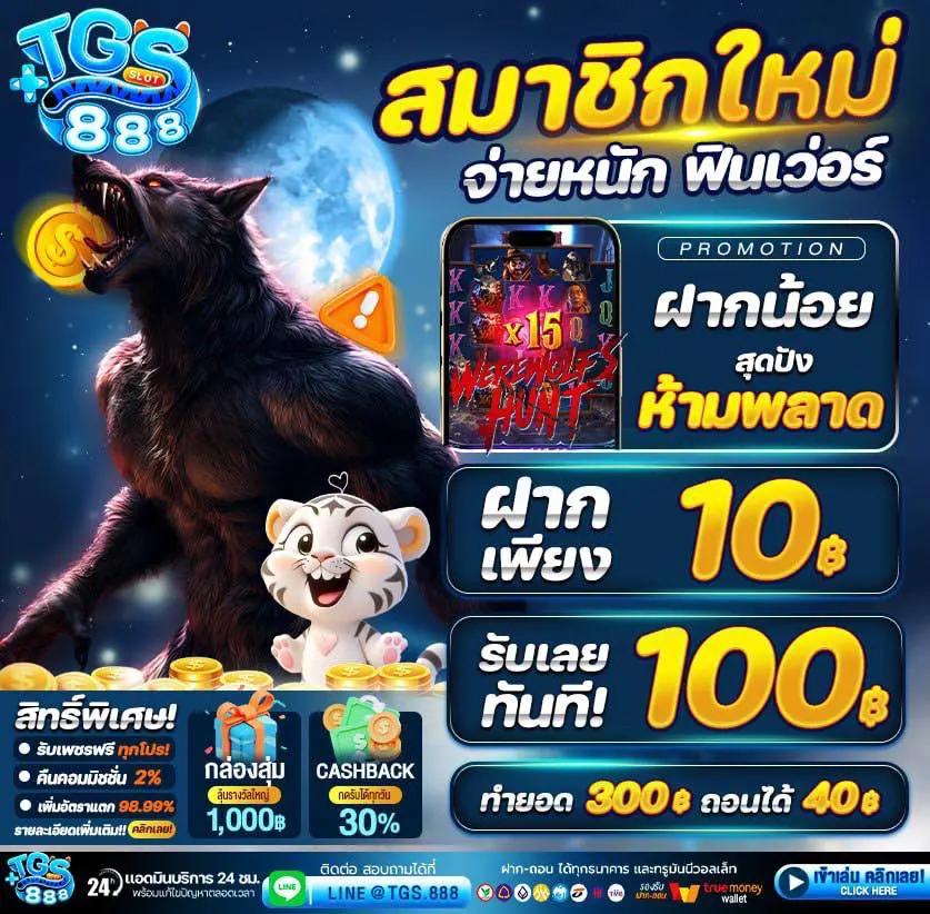 mk88 เว็บตรง สล็อต ฝากถอนออโต้ ไม่ผ่านเอเย่นต์ 2026