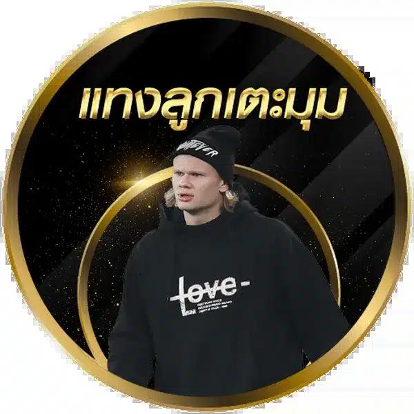 โปร ฝาก 1 รับ 100 ถอน ไม่อั้น2024 เว็บตรง สล็อต ฝากถอนออโต้ 2026